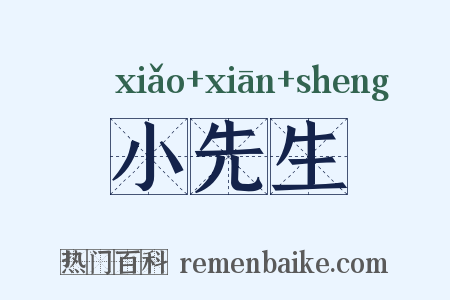 小先生是什么意思的图片
